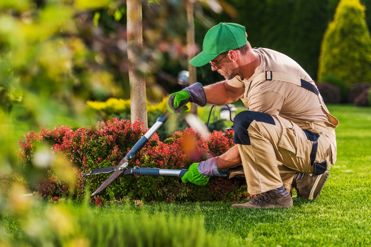 clearview property maintenance professional landscaping solutions Lush tropical garden