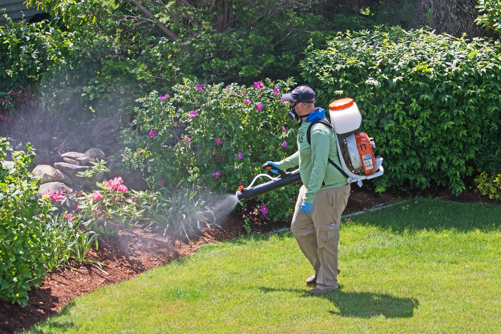 Fairhaven,,Massachusetts/usa,-,June,19,2018:,Worker,Sprays,Insecticide,For pest-control-worker-spraying-pesticides-in-cabinet-in-kitchen-and-using-flashlight